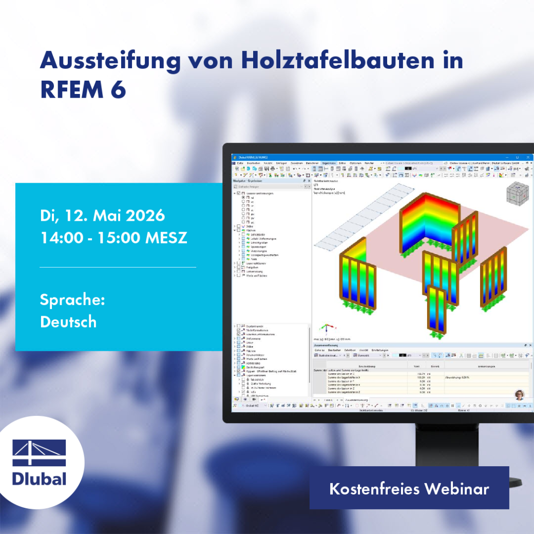 Раскрепление деревянных панельных конструкций в RFEM 6