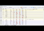 在表格中查看杆件的内力