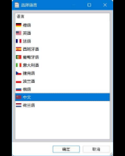 选择打印报告的语言
