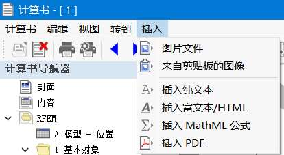 '插入' 打印报告菜单