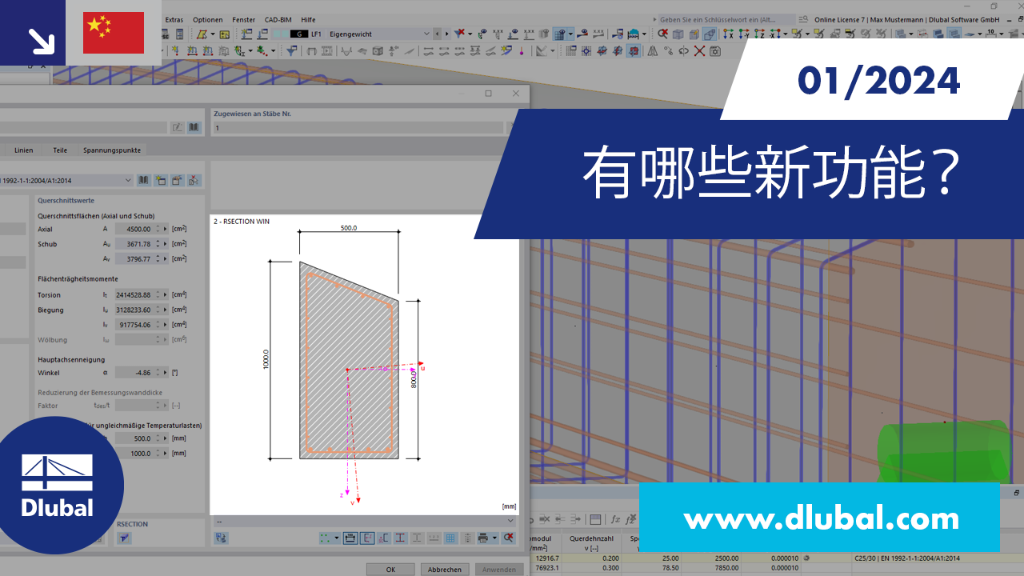 RFEM 6 和 RSTAB 9 新功能的图形展示（2024 年 1 月）