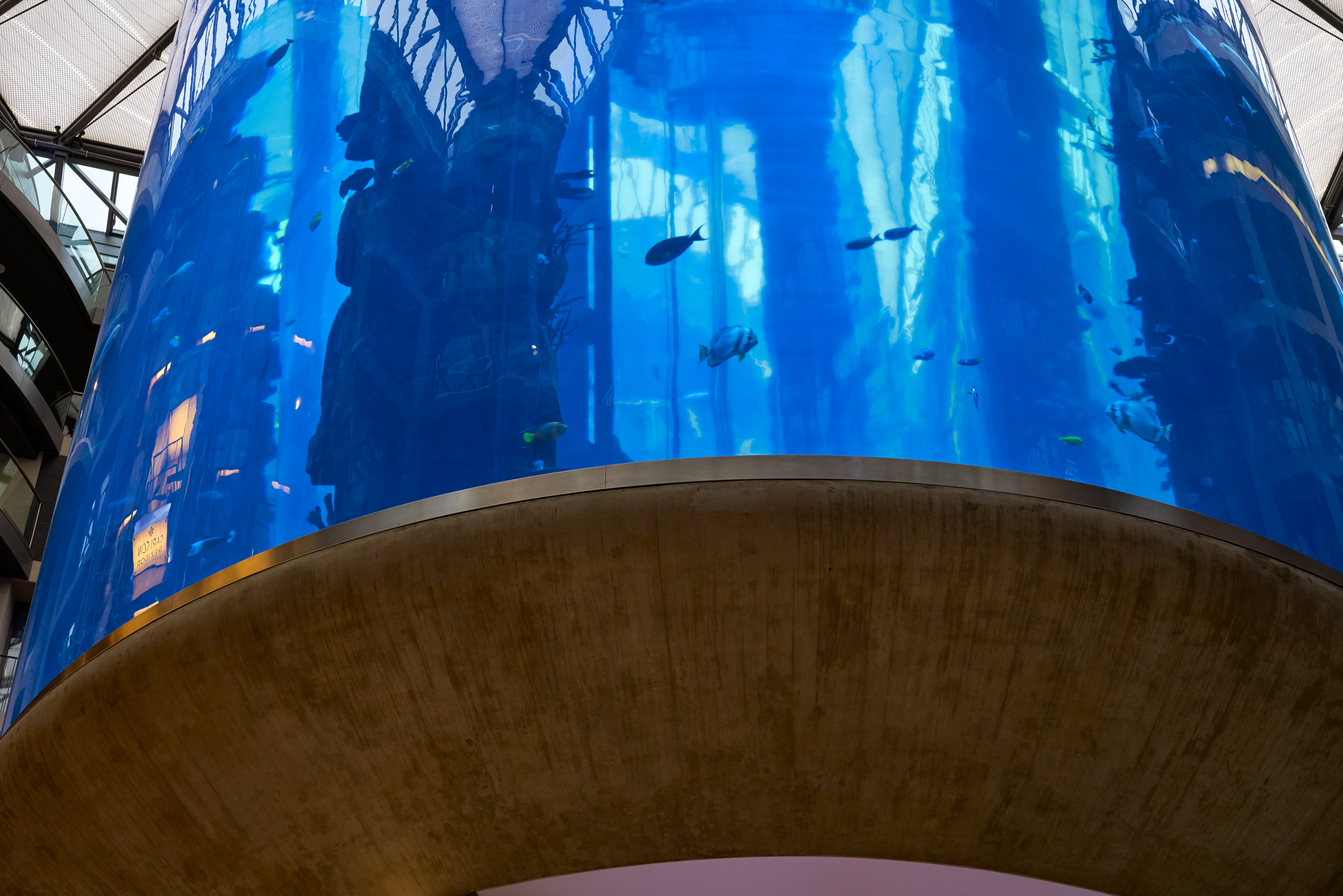 柏林雷迪森酒店的圆柱形水族馆