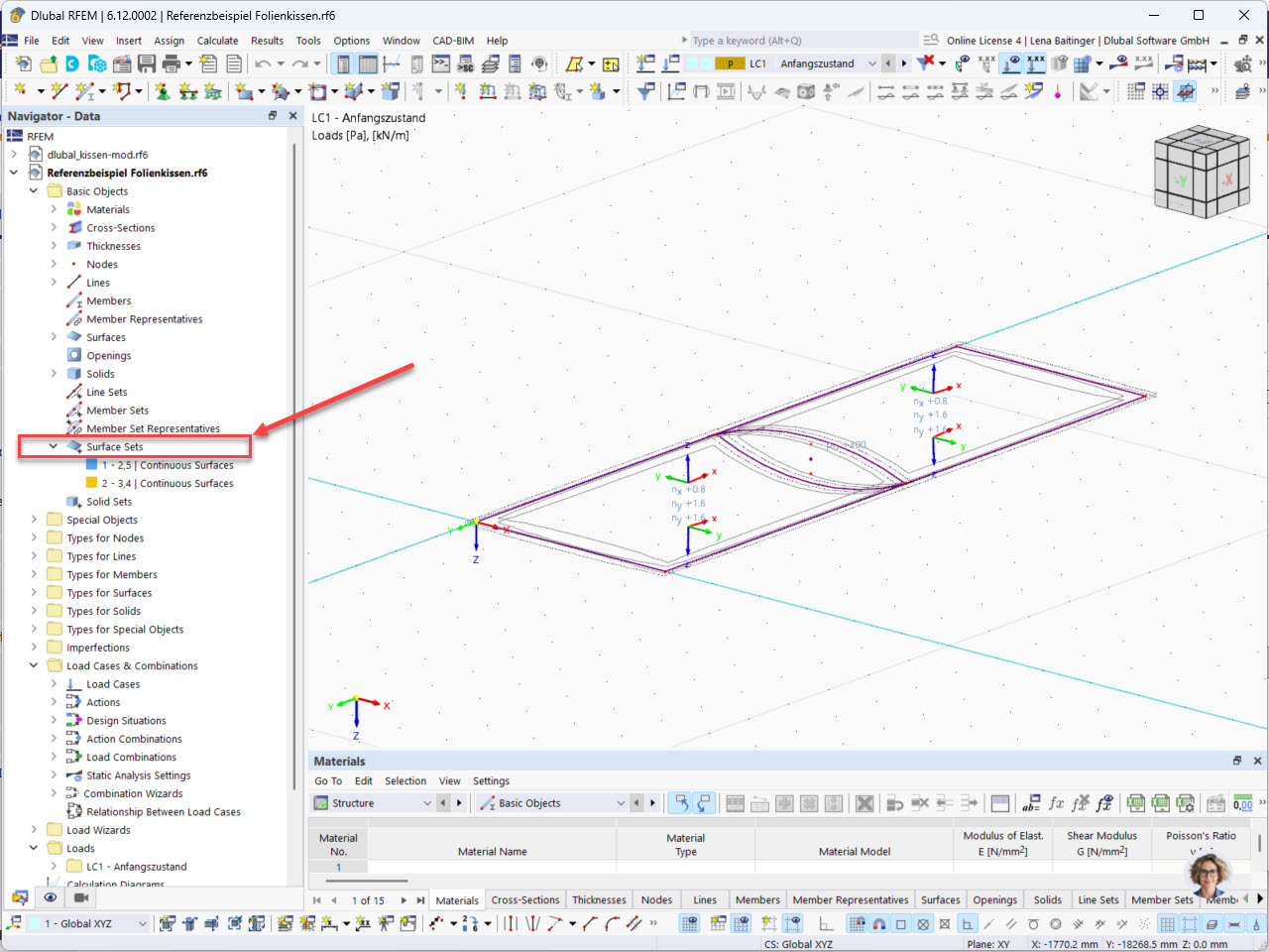 RFEM 用户界面显示了“面集”导航条目。