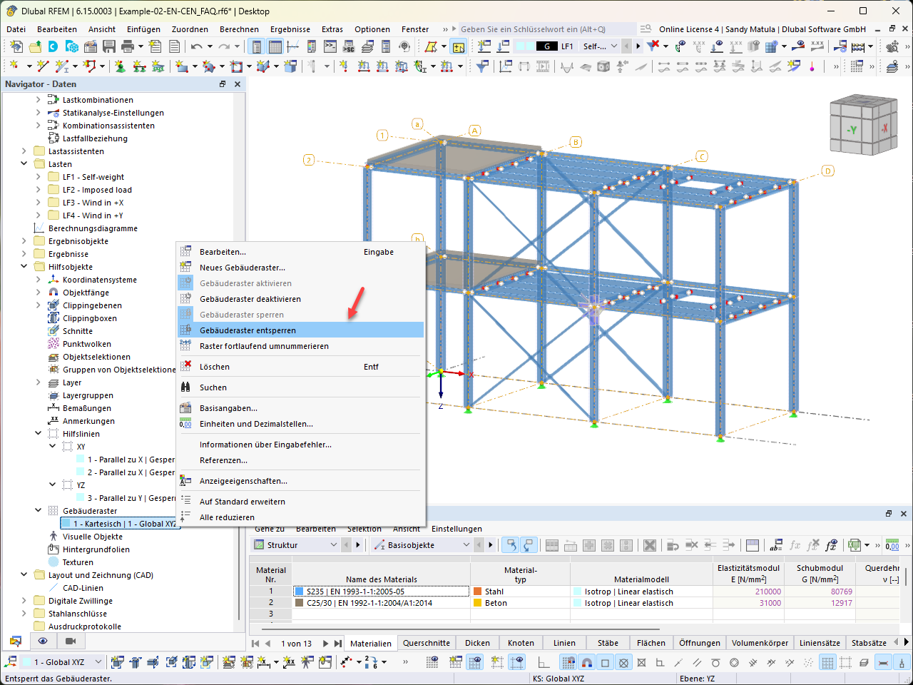 带建筑网格和辅助线的视图。RFEM 中模型功能的细节。